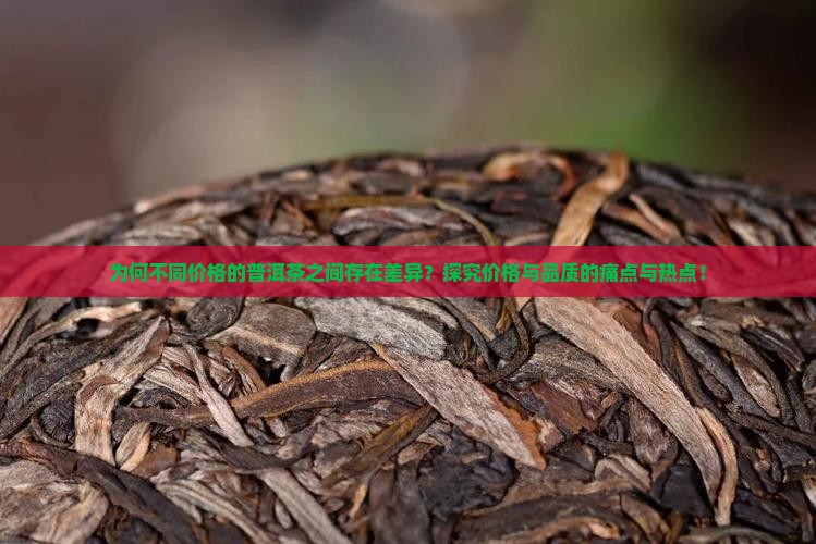 为何不同价格的普洱茶之间存在差异？探究价格与品质的痛点与热点！