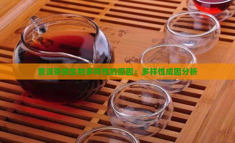 普洱茶微生物多样性的原因：多样性成因分析