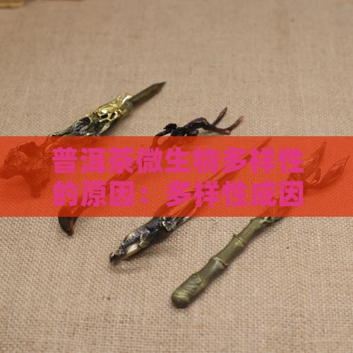 普洱茶微生物多样性的原因：多样性成因分析