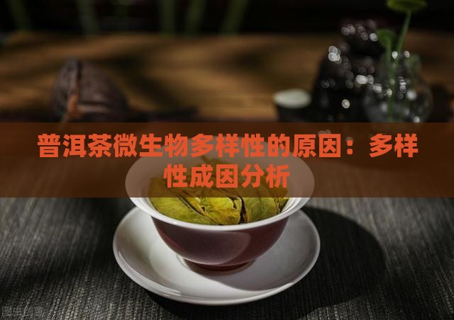 普洱茶微生物多样性的原因：多样性成因分析