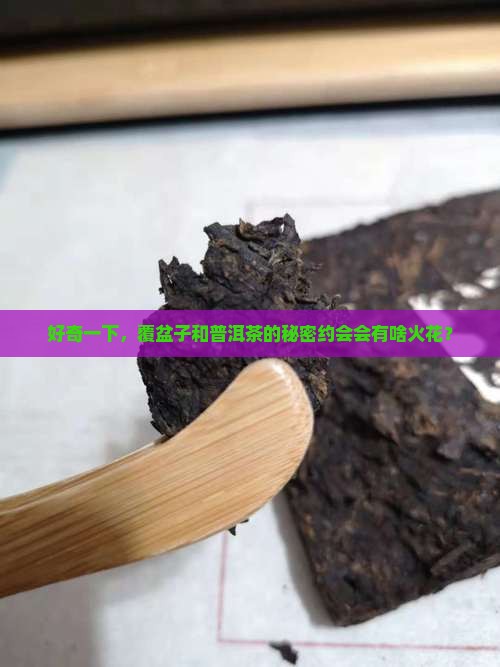好奇一下，覆盆子和普洱茶的秘密约会会有啥火花？