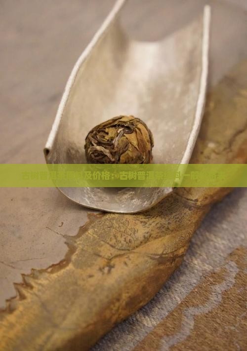 古树普洱茶原料及价格：古树普洱茶纯料一般价格表