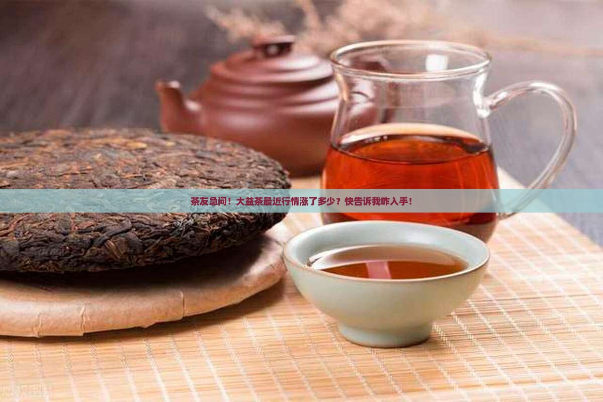 茶友急问！大益茶最近行情涨了多少？快告诉我咋入手！