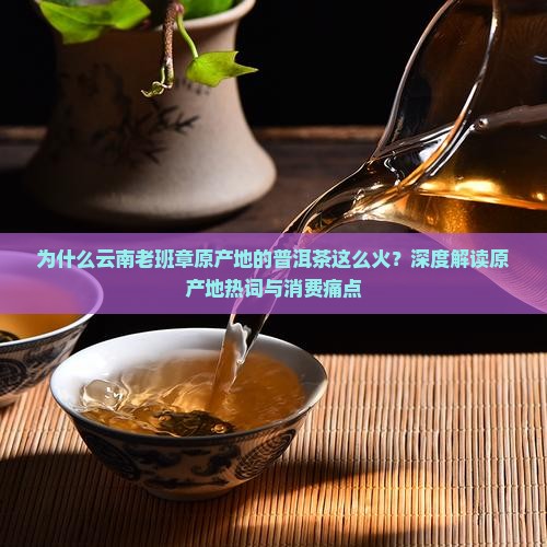为什么云南老班章原产地的普洱茶这么火？深度解读原产地热词与消费痛点
