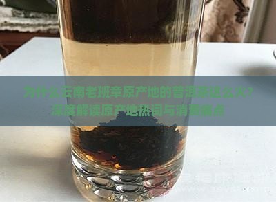 为什么云南老班章原产地的普洱茶这么火？深度解读原产地热词与消费痛点