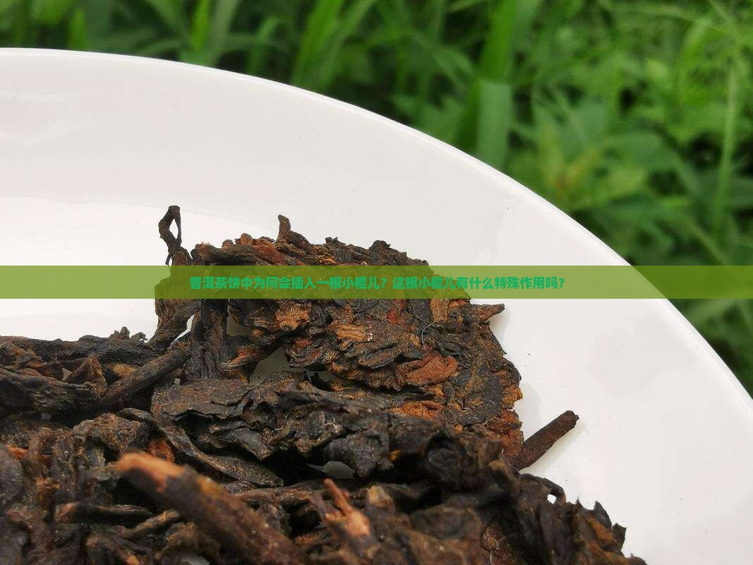 普洱茶饼中为何会插入一根小棍儿？这根小棍儿有什么特殊作用吗？