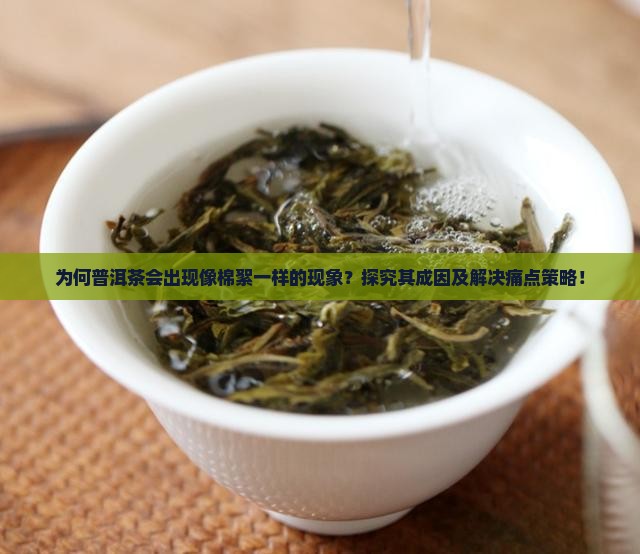 为何普洱茶会出现像棉絮一样的现象？探究其成因及解决痛点策略！