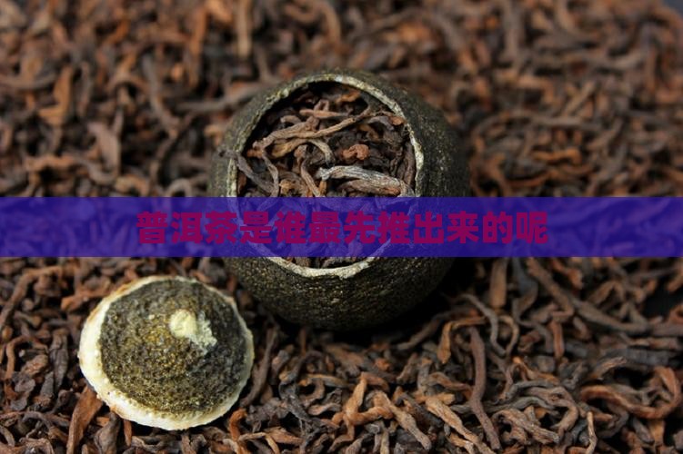 普洱茶是谁最先推出来的呢