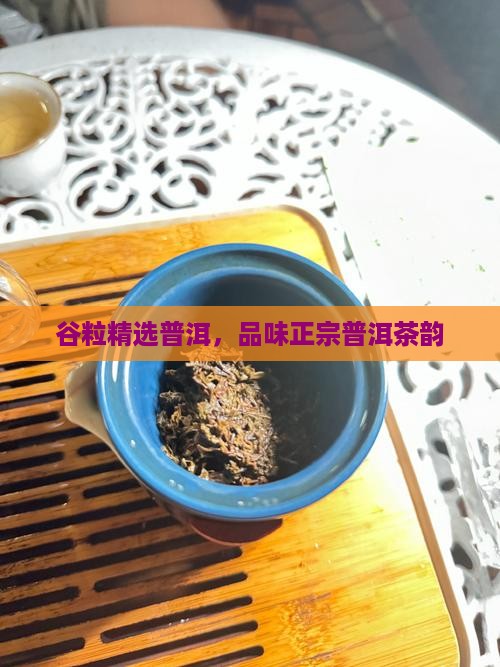 谷粒精选普洱，品味正宗普洱茶韵