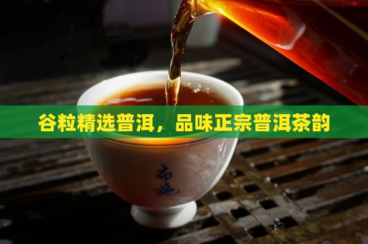 谷粒精选普洱，品味正宗普洱茶韵