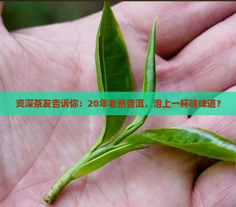 资深茶友告诉你：20年老熟普洱，泡上一杯啥味道？