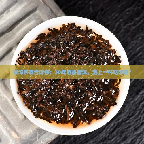 资深茶友告诉你：20年老熟普洱，泡上一杯啥味道？