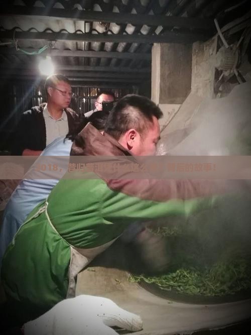 2018，昔归普洱凭什么这么贵？背后的故事！