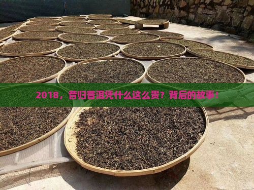 2018，昔归普洱凭什么这么贵？背后的故事！