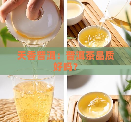 天香普洱：普洱茶品质好吗？
