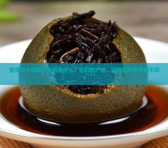 普洱与大红袍的区别是什么？它们的产地、口感和功效有何不同？