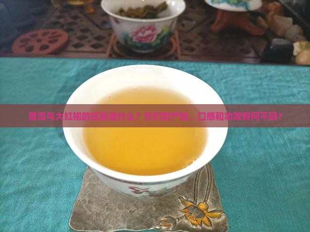 普洱与大红袍的区别是什么？它们的产地、口感和功效有何不同？