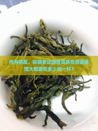 作为茶友，你猜老达保普洱茶在普通茶馆大概要花多少钱一杯？