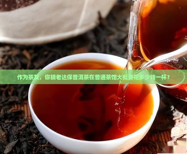 作为茶友，你猜老达保普洱茶在普通茶馆大概要花多少钱一杯？