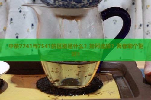 中茶7741与7541的区别是什么？如何选择？两者哪个更好？