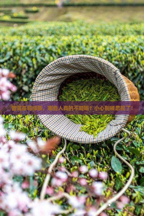 普洱茶和绿茶，哪些人真的不能喝？小心别被忽视了！