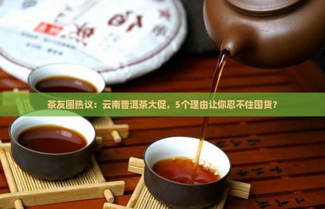 茶友圈热议：云南普洱茶大促，5个理由让你忍不住囤货？