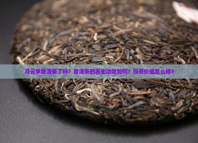 马云学普洱茶了吗？普洱茶的养生功效如何？投资价值怎么样？
