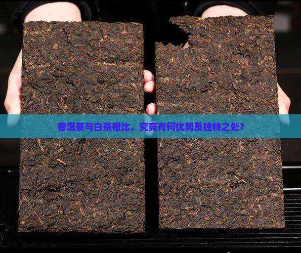 普洱茶与白茶相比，究竟有何优势及独特之处？