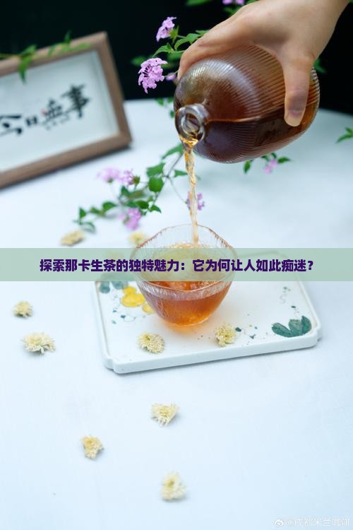 探索那卡生茶的独特魅力：它为何让人如此痴迷？