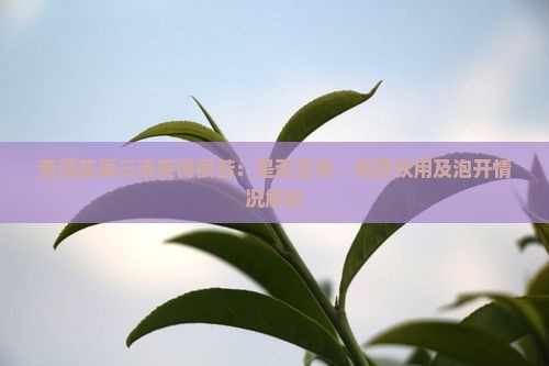 普洱茶第三泡变得很苦：是否正常、能否饮用及泡开情况解析