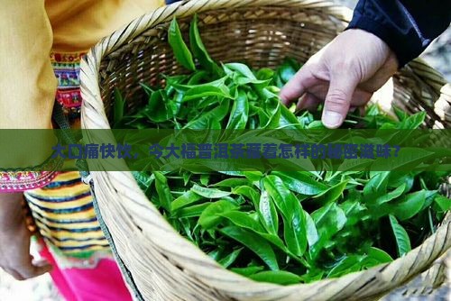 大口痛快饮，今大福普洱茶藏着怎样的秘密滋味？