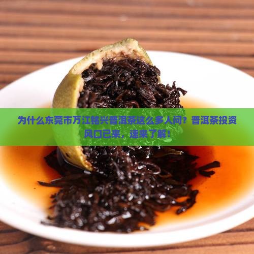 为什么东莞市万江铭兴普洱茶这么多人问？普洱茶投资风口已来，速来了解！