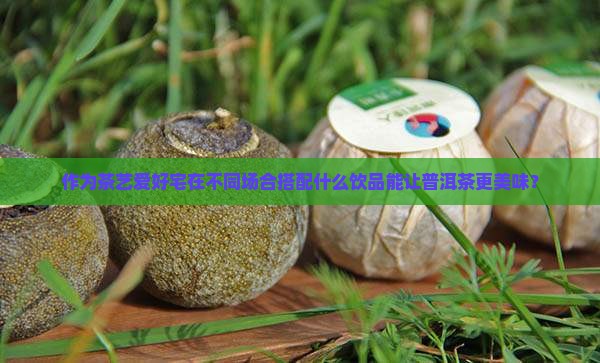 作为茶艺爱好宅在不同场合搭配什么饮品能让普洱茶更美味？