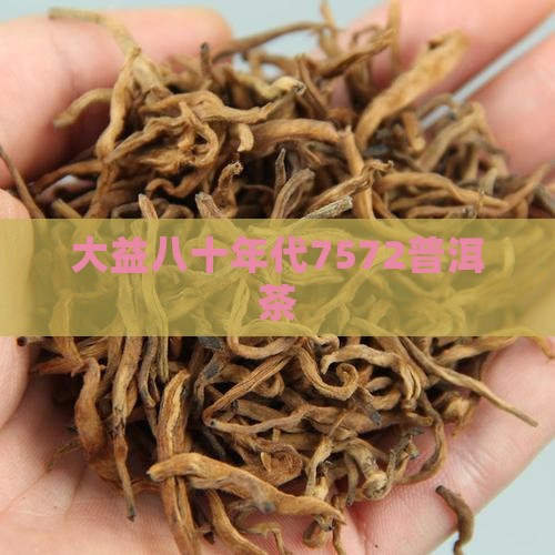 大益八十年代7572普洱茶