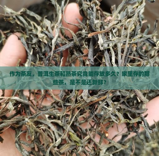 作为茶友，普洱生茶和熟茶究竟能存放多久？家里存的那些茶，是不是还新鲜？