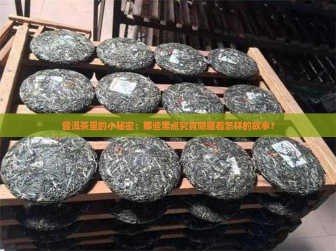 普洱茶里的小秘密：那些黑点究竟隐藏着怎样的故事？