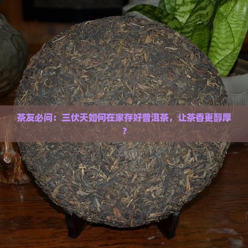 茶友必问：三伏天如何在家存好普洱茶，让茶香更醇厚？