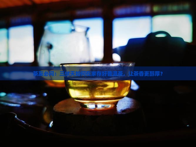 茶友必问：三伏天如何在家存好普洱茶，让茶香更醇厚？