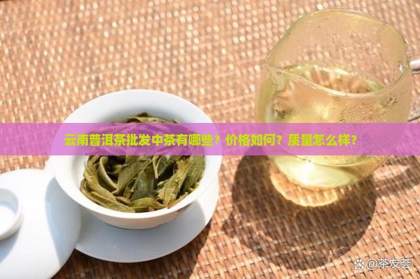 云南普洱茶批发中茶有哪些？价格如何？质量怎么样？
