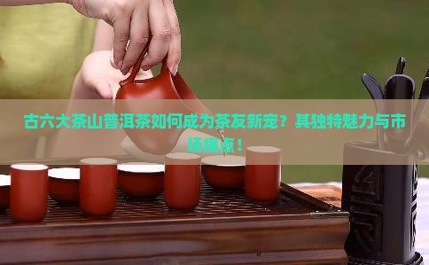 古六大茶山普洱茶如何成为茶友新宠？其独特魅力与市场痛点！
