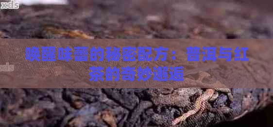 唤醒味蕾的秘密配方：普洱与红茶的奇妙邂逅