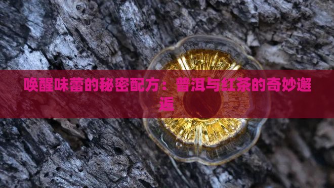 唤醒味蕾的秘密配方：普洱与红茶的奇妙邂逅