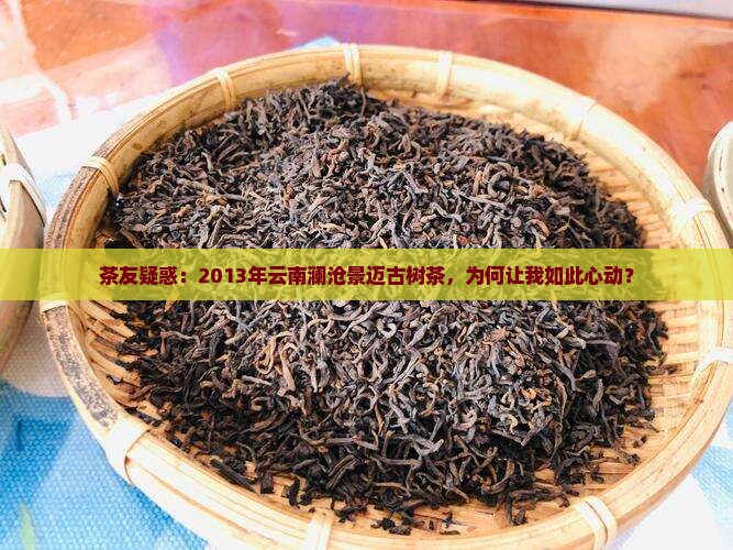 茶友疑惑：2013年云南澜沧景迈古树茶，为何让我如此心动？