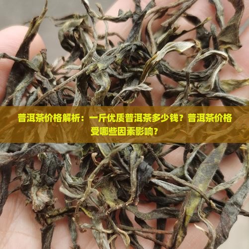普洱茶价格解析：一斤优质普洱茶多少钱？普洱茶价格受哪些因素影响？