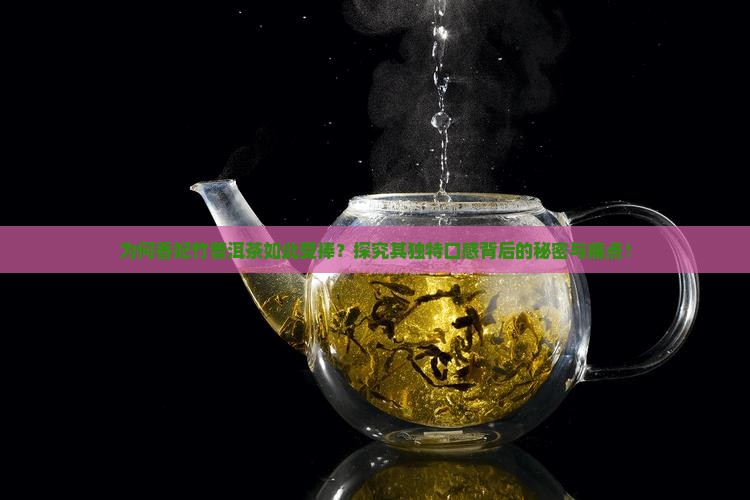 为何香妃竹普洱茶如此受捧？探究其独特口感背后的秘密与痛点！