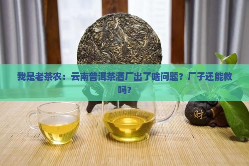 我是老茶农：云南普洱茶洒厂出了啥问题？厂子还能救吗？