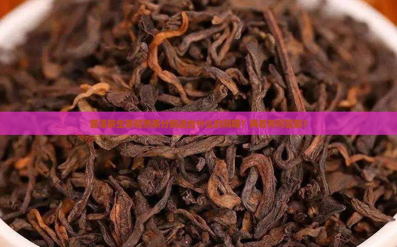 普洱茶生茶和熟茶分别适合什么时间喝？两者有何区别？