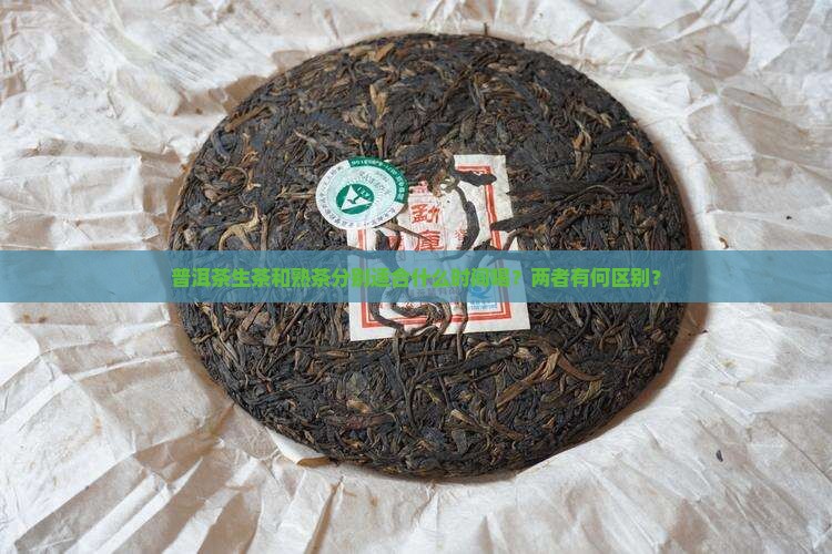 普洱茶生茶和熟茶分别适合什么时间喝？两者有何区别？