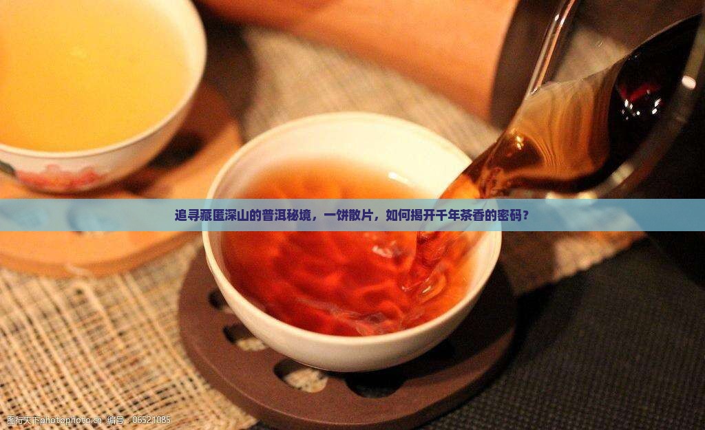 追寻藏匿深山的普洱秘境，一饼散片，如何揭开千年茶香的密码？