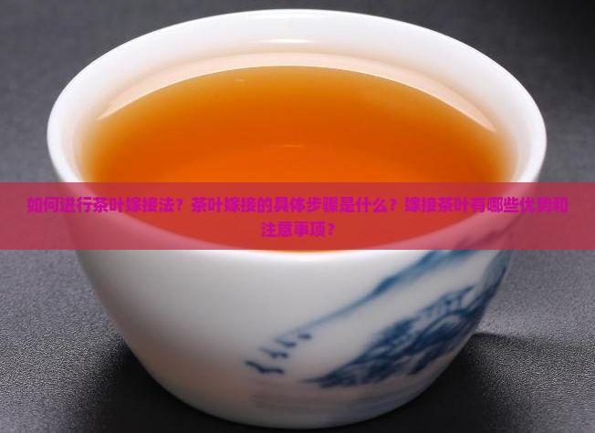 如何进行茶叶嫁接法？茶叶嫁接的具体步骤是什么？嫁接茶叶有哪些优势和注意事项？